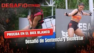 Una buena definición le otorga la victoria a este equipo en el Box Blanco | Desafío del Siglo
