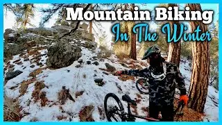 Woodland Trail, Big Bear California - Mountain Biking In The Winter
