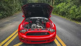 INTRODUCING MY CAMMED PAXTON SUPERCHARGED MUSTANG GT!!!