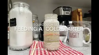 Working with a Sourdough Starter   Cold Feeding - week two after a move