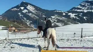Winterspiele - im Sattel