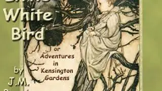 The Little White Bird by J. M. BARRIE read by Various Part 1/2 | Full Audio Book