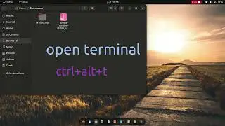 ubuntu install chrome