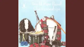 Selection: Wee Bit Out of the Ordinary - Irish Jig - Ruthless Jack - The Panda - Traditional...