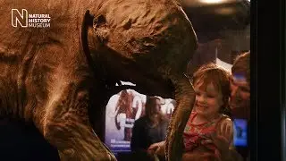 Mammoths: Ice Age Giants - 