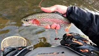there are lots still out there! creek fly fishing
