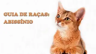 GUIA DE RA&Ccedil;AS: ABISS&Iacute;NIO