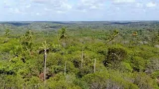 Aerial view of  hills covered by evergreen forest in Brazil in 4k | Unwind Free Stock Video