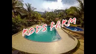 Goa's Best Farm with Swimming Pool!!! @Rodsfarm India