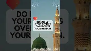 Divine Reflections: An Islamic Quotes Sanctuary - Discover Spiritual Wisdom and Guidance