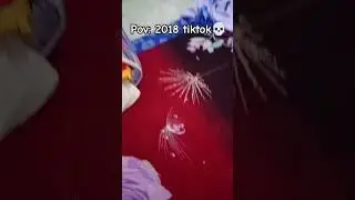 Pov: 2018 tiktok💀