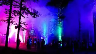 Electric Forest Festival 2011 Highlights - Punlive.net