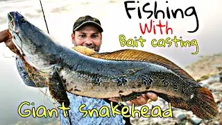 Bite Ho To Aisi ! Giant Snakehead Fishing Video! Maral  Catching With BC Reel!