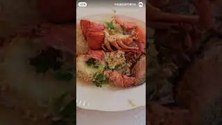 HK2506 Canada lobster n mushroom fried sea cucumber w/ Lingzhi mushroom Hong Kong China 29