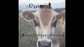 strawberry record - last song