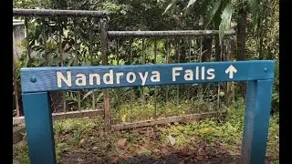 Nandroya Falls. Atherton Tablelands.