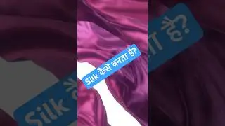 Silkworm से रेशम कैसे बनता है? 😲 (4 Stages)|Sciencecorner #scienceshorts