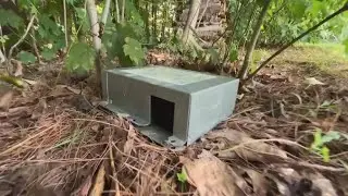 More Mainers using 'tick box' technology to treat rodents in their backyards