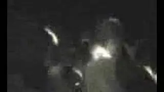 Macići live Postirski pivoči 2005 - in memoriam Sveslav Vrandečić Prci (1973.-2010.)
