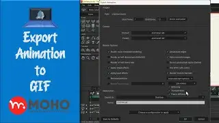 Export MOHO animation to gif with transparent background