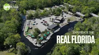 Welcome to Wekiva Island