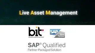 Live Asset Management   SAP Package Solution