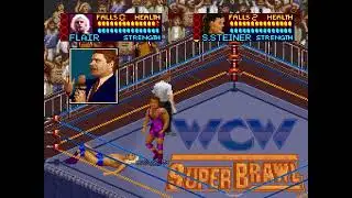 Game Over: WCW Super Brawl Wrestling (SNES)