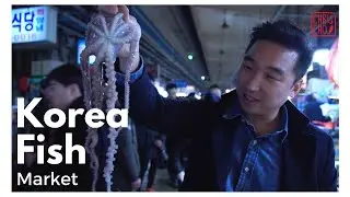 Korea Travel Vlog | Noryangjin Fish Market - Episode 1