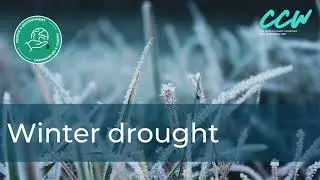 Explaining winter drought