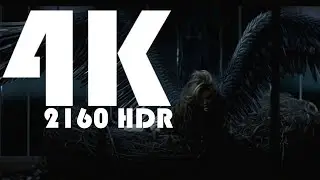 Miley Cyrus  Can't Be Tamed (4K 2160 HDR) 