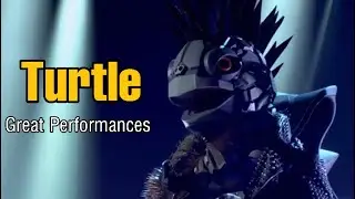 The TURTLE - The Masked Singer ALL SEASON PERFORMANCE