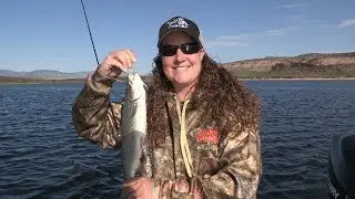 Flaming Gorge Summer Trout Fishing