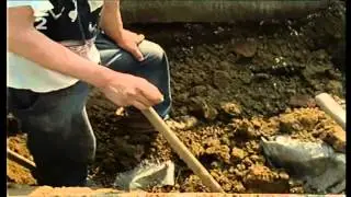 Hrobnik dokument TVrip