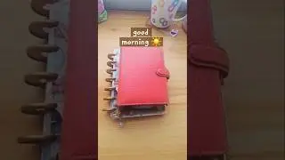 Planner Girl 🩷 #filofax #pocketplanner #minihappyplanner #plannergirl #plannerinspo #plannerideas