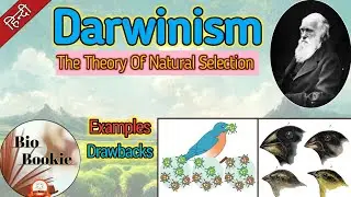 Darwin's Theory Of Evolution || Darwinism || Theory Of Natural Selection.