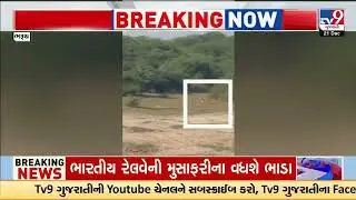 Leopard Creates Panic in Nikora Village Bharuch, Spotted Near River Bank | Gujarat | TV9Gujarati
