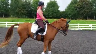 Mark Ruddock lesson2 BD camp