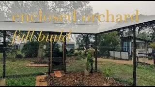 Turning an unproductive patch of grass into a fully enclosed orchard - full build