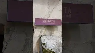 funghi bosco e altro
