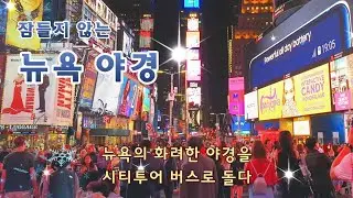 뉴욕의 야경을 보기 위해 시티투어 버스를 타고 잠들지 않는 뉴욕, 낮보다 밤이 더 아름다운 맨하턴 타임스퀘어의 화려하고 분주한 모습을 즐겨본다.