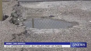 City approves boost but delays funds to Animal Care Services over parking lot costs