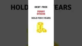 Top Debt free penny stocks | invest for 3 to 5 years | investors platform