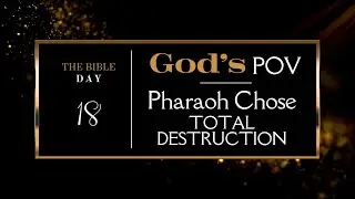 Day 18: Exodus 8-10 | The Soulgorithm Alignment:  God's Point of View