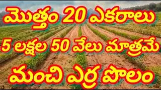 20 ఎకరాల ఎర్ర నేల (Red Soil) Land అమ్మకానికి ఎకరం 5.50 లక్షలు .( Video No :206 ) Chinna :7093334991