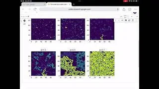 Percolation theory(percolating scatering)model in python colab.