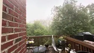 Thunderstorm #lightning #woods #leesburgva #loudouncounty #kincaid #rain #storm #fire     صاعقه