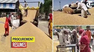 Karnal: Arhtiyas Association resumes procurement process after assurance from Haryana government
