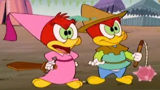 Woody Woodpecker | The Kings of the Fair | 2 Full Episodes