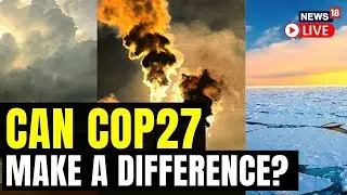 2022 United Nations Climate Change Conference | COP27 In Egypt | Global Warming | English News