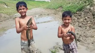Amazing Boys Catching Big Catfish In Mud Water | Hand Fishing | Mud Water Fishing Part 2